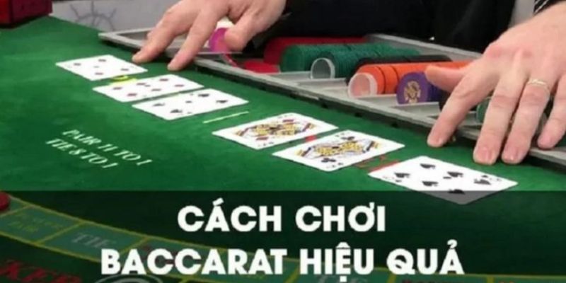 Sơ lược về cách chơi Baccarat cực dễ hiểu